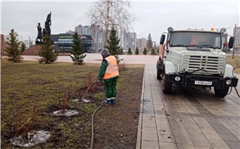 В Красноярске начали поливать высаженные в прошлом году деревья
