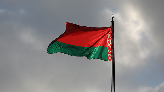 Парламент Белоруссии принял законопроект о приостановлении действия ДОВСЕ